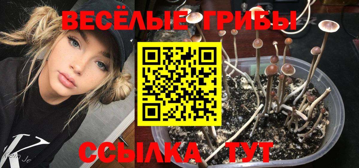 Первоуральск  Псилоцибиновые грибы GOLDEN TEACHER  наркошоп  Вход с VPN 