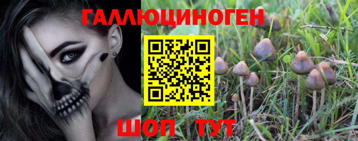 Галлюциногенные грибы MAGIC MUSHROOMS Первоуральск
